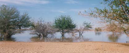 Le Parc National dAbu-Ghailan reprsente une interface montagne plaine dhabitats arides et semi-arides dans le nord de la Libye.
